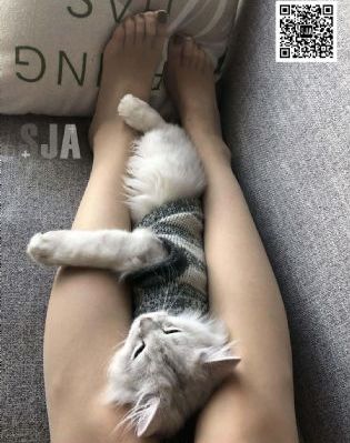 久久亚洲春色中文字幕_国产剧电影全集观看